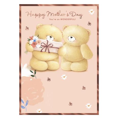 You're So Wonderful Large Forever Friends Mother's Day Card